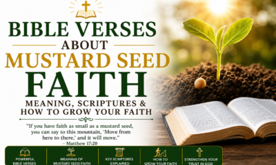 Bible verses about mustard seed faith with a growing seedling beside an open Bible, illustrating the meaning of Matthew 17:20 and how to grow strong faith in God.