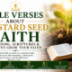 Bible verses about mustard seed faith with a growing seedling beside an open Bible, illustrating the meaning of Matthew 17:20 and how to grow strong faith in God.